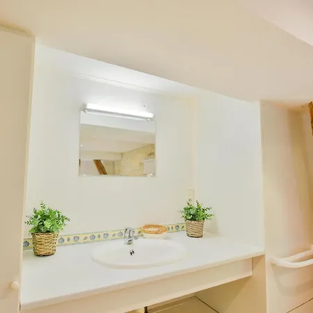 Nenuphar Tatil Evi Dégagnac
