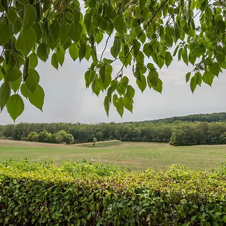 Nenuphar * Dégagnac